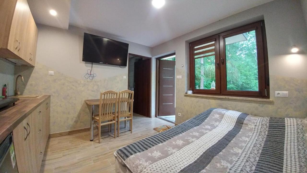 Cypla Czar Apartment Polanczyk Exterior photo